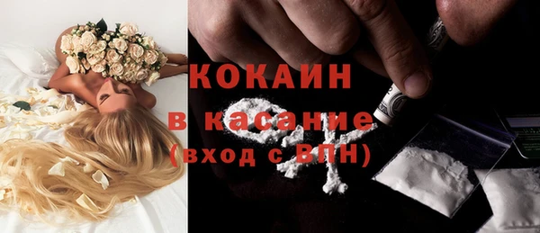 мет Ельня