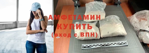 мет Ельня