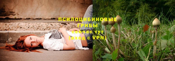 стафф Елабуга