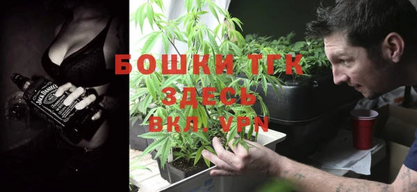 мет Ельня