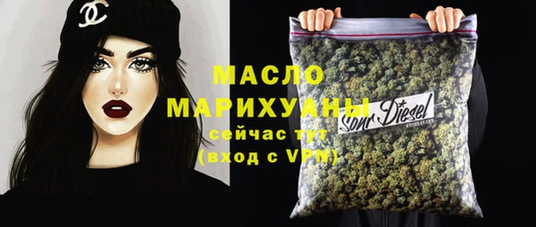 мет Ельня