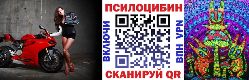 Купить закладки  Пугачёв  Галлюциногенные грибы Psilocybe 