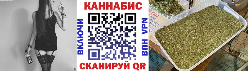 Каннабис конопля Пугачёв